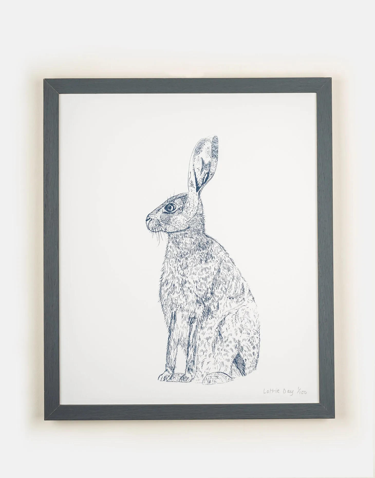 Blue Hare Print