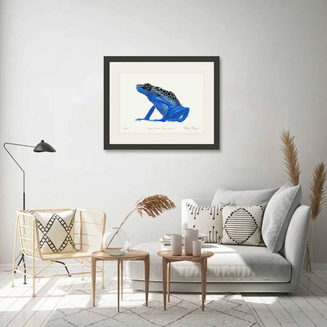 Blue Poison Dart Frog Print