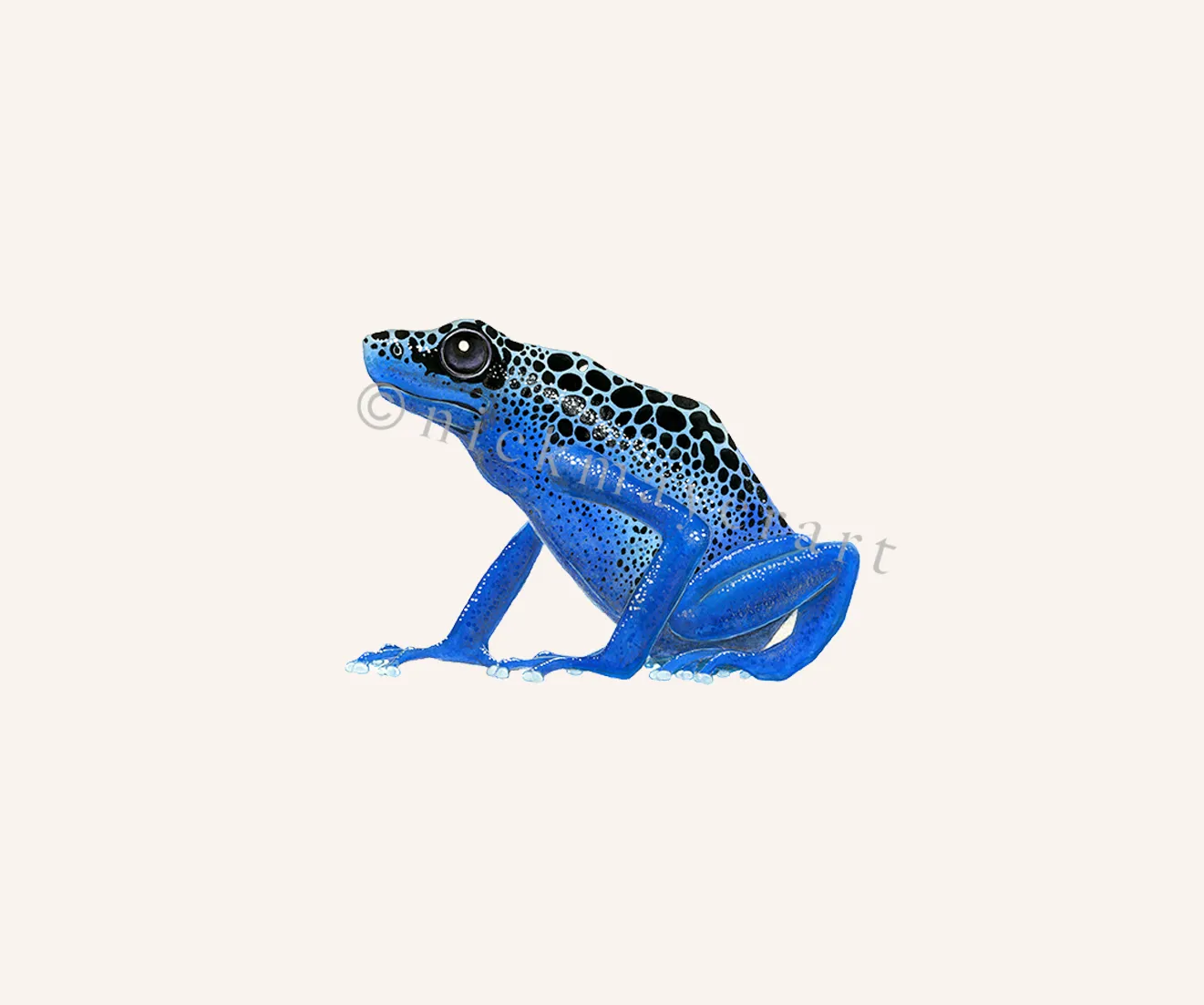 Blue Poison Dart Frog Print