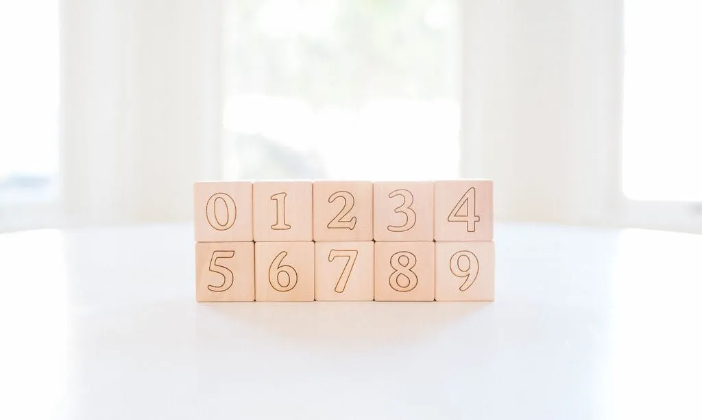 Maple ABC Block Set