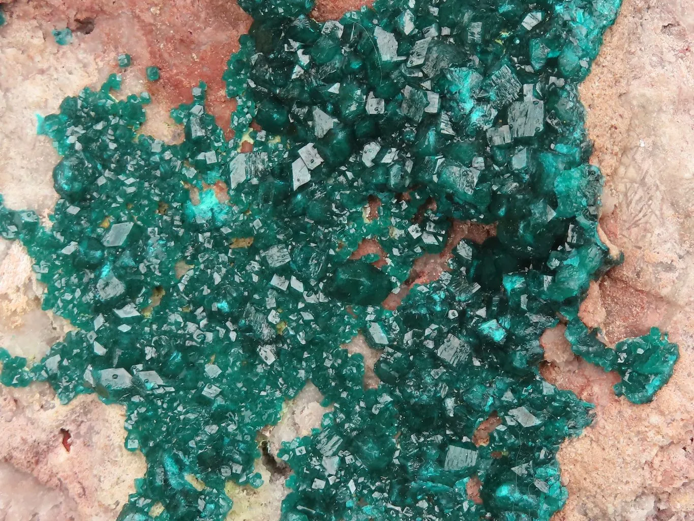 Natural Extra Large Classic Dioptase Specimen With Deep Emerald Crystals x 1 From Congo