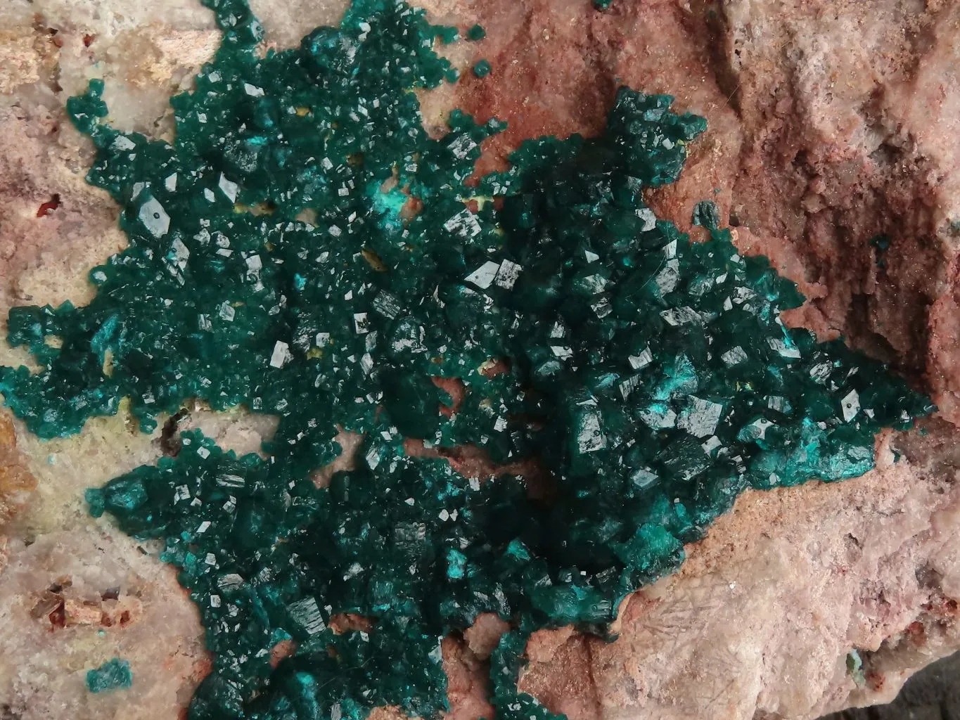 Natural Extra Large Classic Dioptase Specimen With Deep Emerald Crystals x 1 From Congo