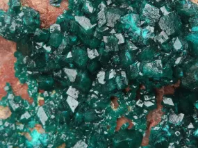 Natural Extra Large Classic Dioptase Specimen With Deep Emerald Crystals x 1 From Congo