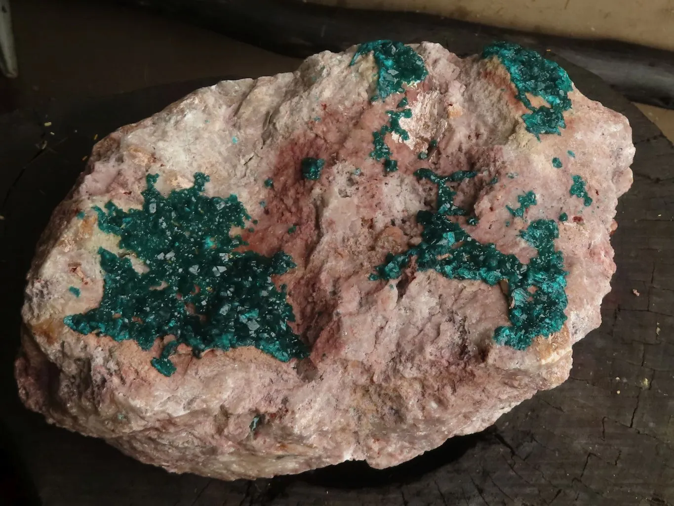 Natural Extra Large Classic Dioptase Specimen With Deep Emerald Crystals x 1 From Congo