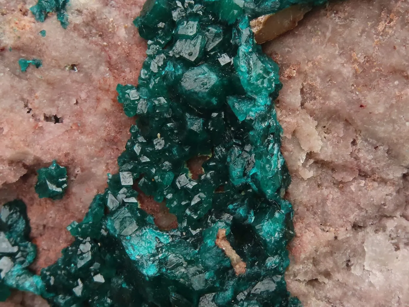 Natural Extra Large Classic Dioptase Specimen With Deep Emerald Crystals x 1 From Congo