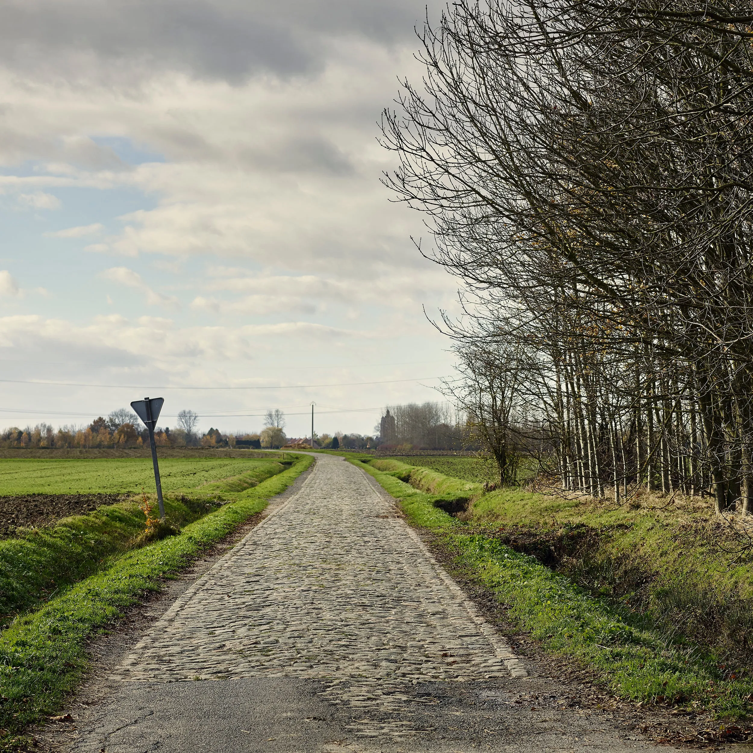 Roubaix 07 - Art Print - Michael Blann