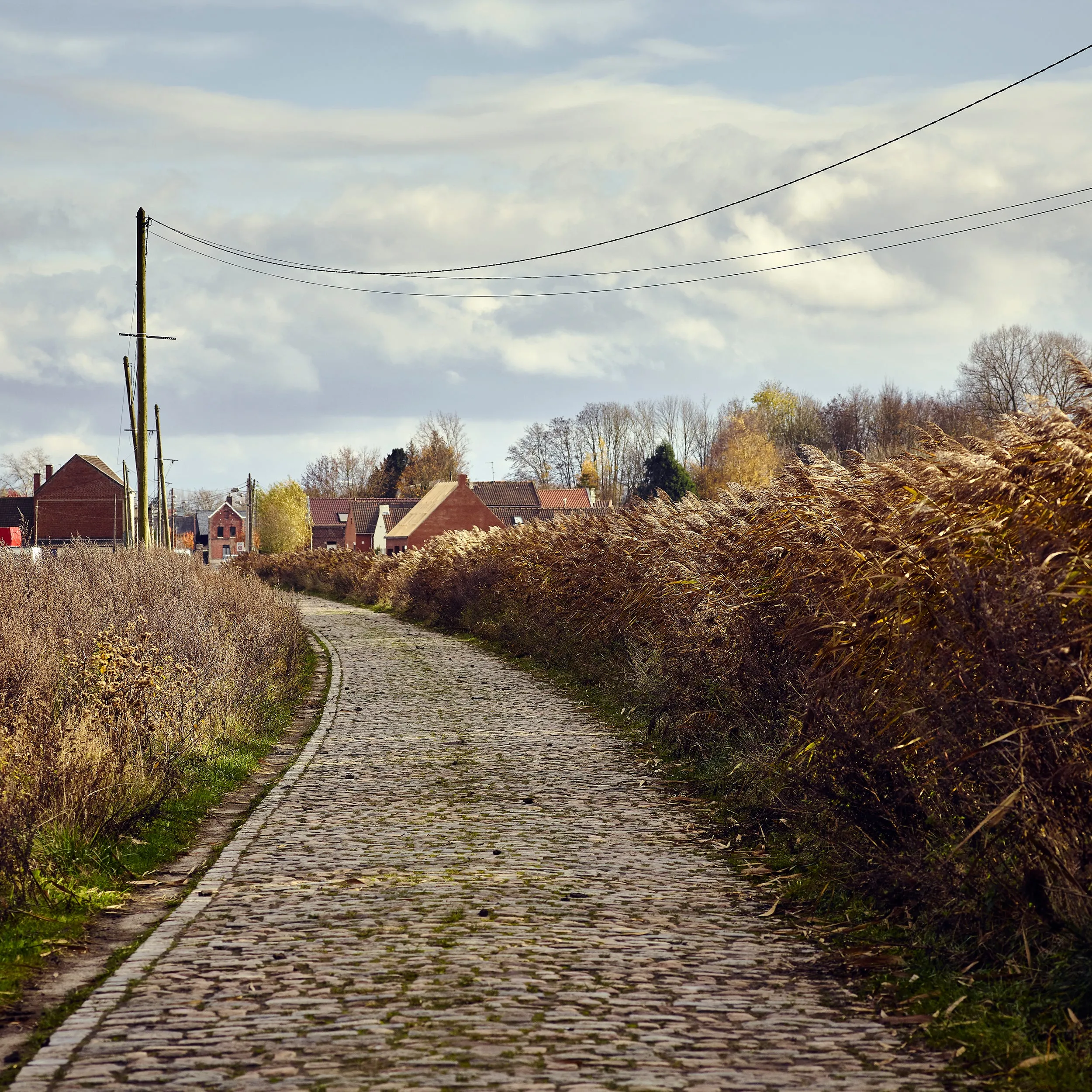 Roubaix 09 - Art Print - Michael Blann