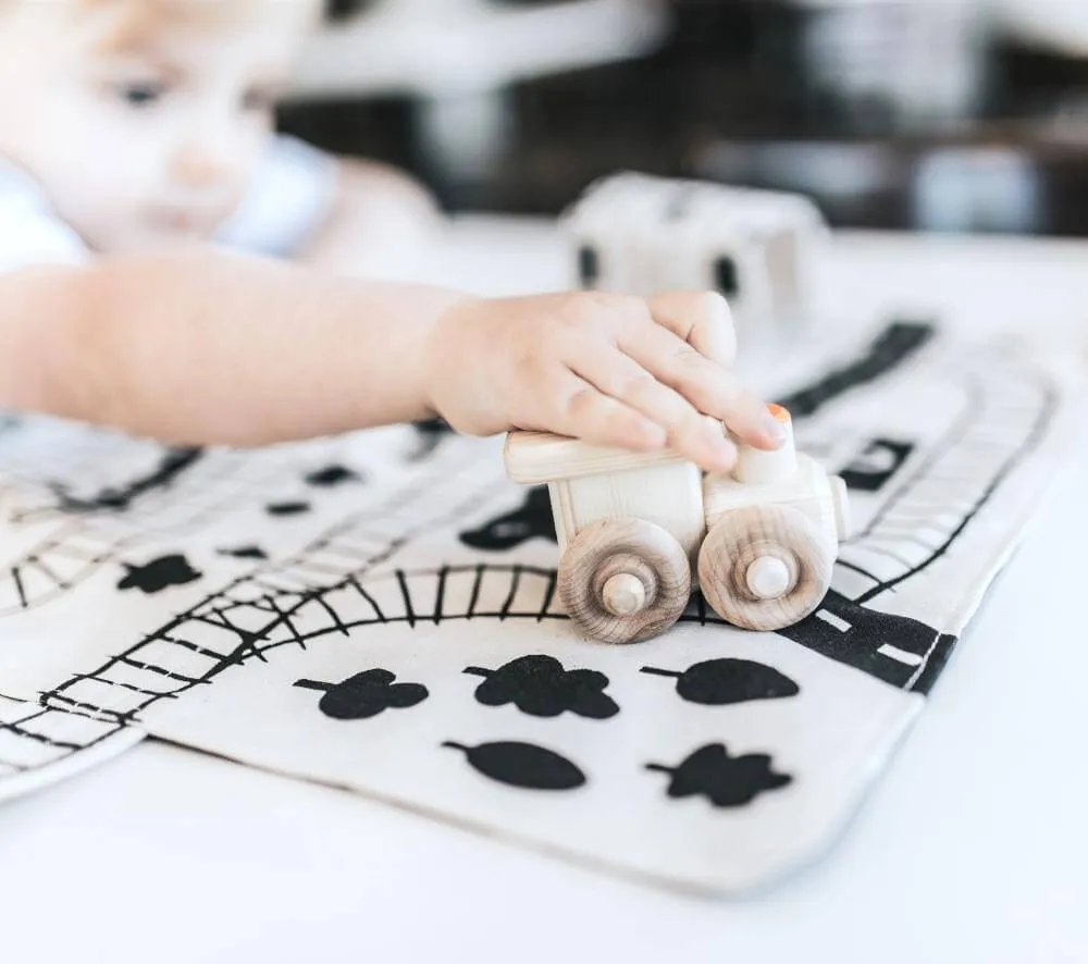 Train Play Mat: "Love it! Super cute for on the go play!"