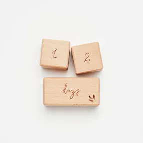 Wooden Milestone Block Set - Baby